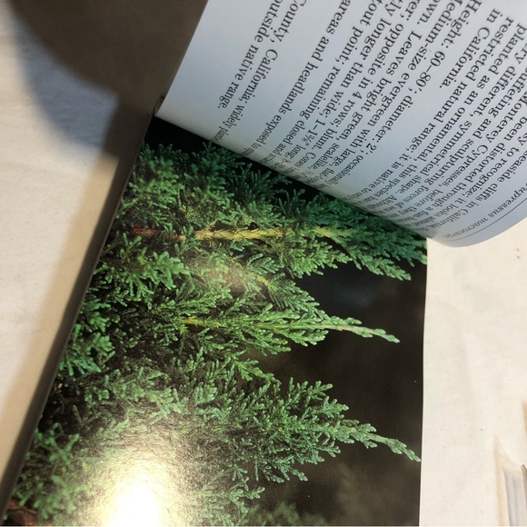 AUDUBON SOCIETY POCKET GUIDES Gift Set Western REGION/SLIP CASE By John Farrand - Picture 11 of 16